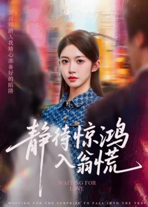 静待惊鸿入翁慌（40集）