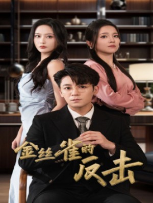 金丝雀的反击(33集)