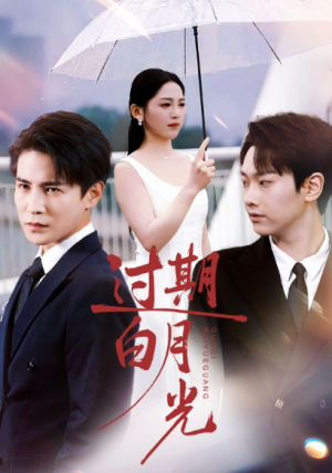 过期白月光（80集）