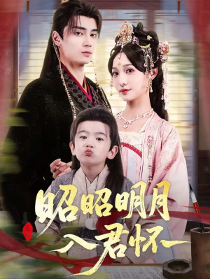 昭昭明月入君怀（80集）