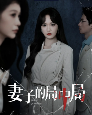 妻子的局中局（36集）