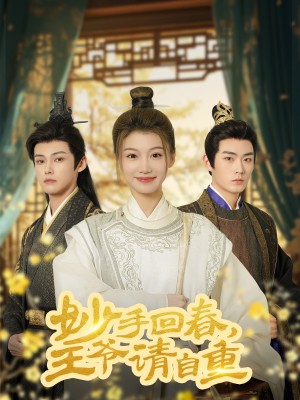 妙手回春王爷请自重（杏林误入凤雀台）（60集）