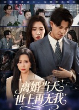 离婚当天世上再无我(60集)