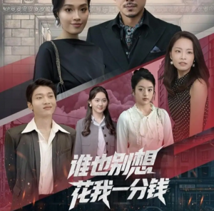 谁也别想花我一分钱（82集）