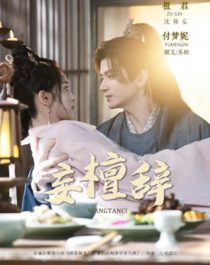 妄檀辞(63集)