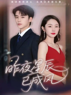 昨夜星辰已成风（75集）