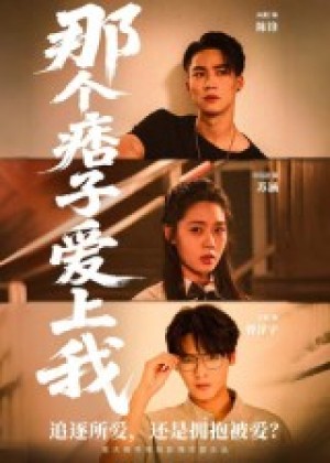 那个痞子爱上我(50集)