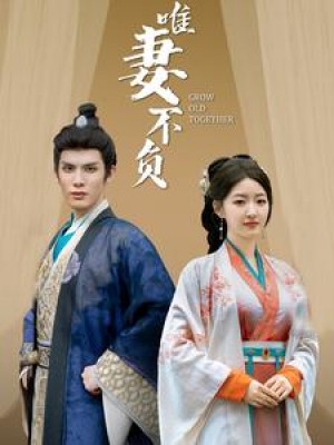 唯妻不负（80集）