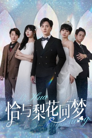 恰与梨花同梦（79集）