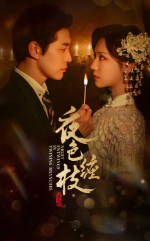 夜色缠枝(60集)
