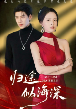 归途似海深（61集）