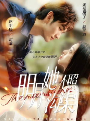 明月她不照沟渠（45集）