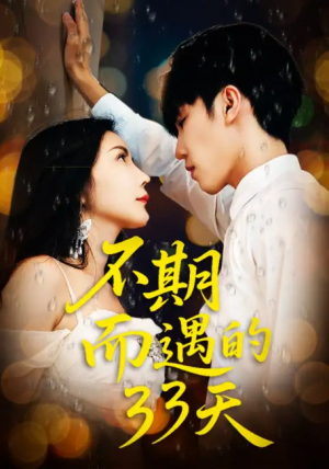 不期而遇的33天（45集）