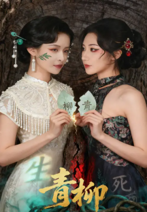 青柳(79集)
