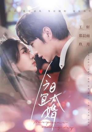 今日宜大婚（59集）
