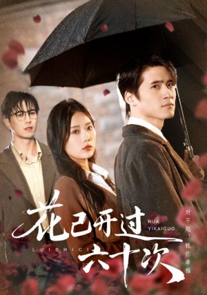 花已开过六十次＆情敌交手她选择躺赢（72集）