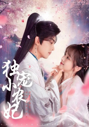 独宠小农妃（63集）