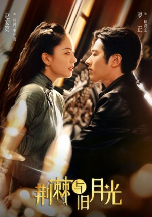 荆棘与旧月光(80集)