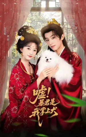 嘘暴君是我掌上犬&废妃逆袭陛下借宠识真心&嘘!暴君是我掌上犬(40集)