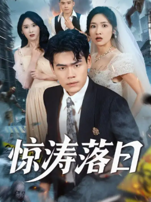 惊涛落日(60集)