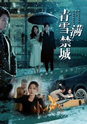 青雪满禁城（51集）