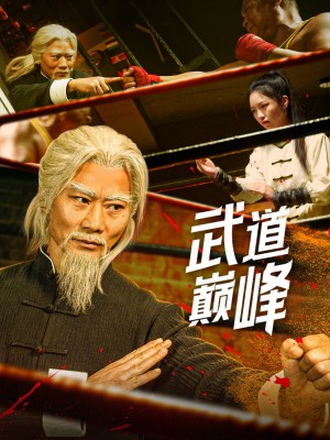 武道巅峰（59集）