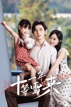 十一年等雪来（50集）