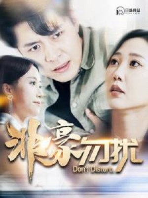 非豪勿扰(100集)