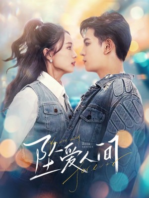 坠爱人间（81集）
