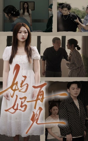 《妈妈再见(妈妈,再见)》(28集)