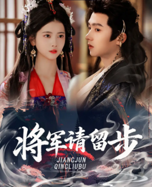 将军请留步（64集）