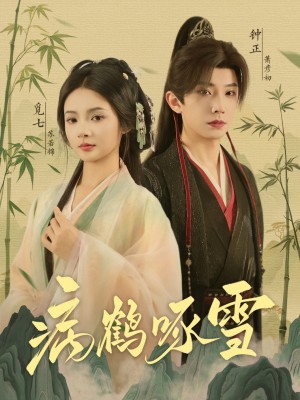 病鹤琢雪（80集）
