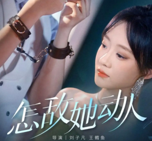 怎敌她动人(75集)