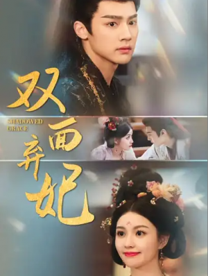 双面弃妃（80集）