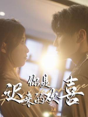 你是迟来的欢喜（78集）
