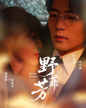 野芳菲(60集)