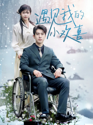 遇见我的小欢喜（70集）