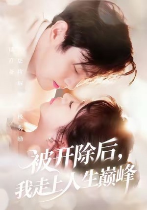 被开除后我走上人生巅峰（57集）