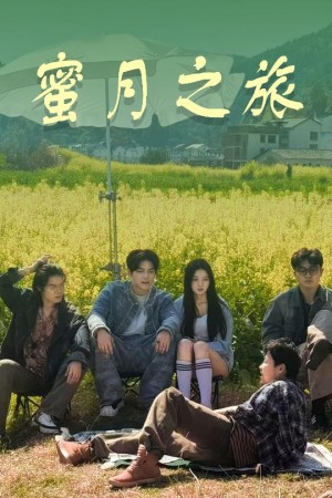 蜜月之旅（35集）
