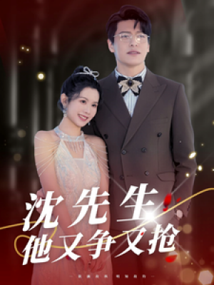 沈先生他又争又抢（40集）