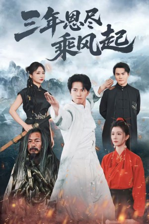 三年恩尽乘风起（60集）