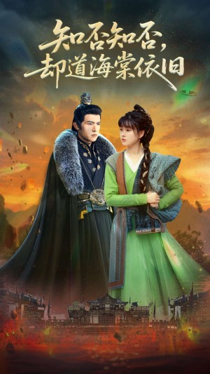 知否知否却道海棠依旧（100集）