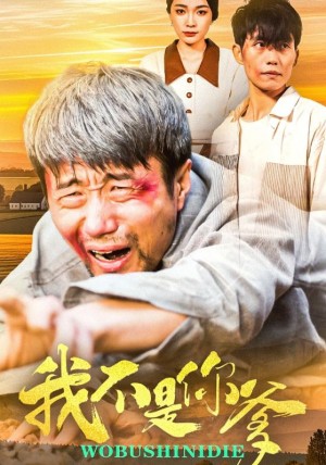 我不是你爹（67集）