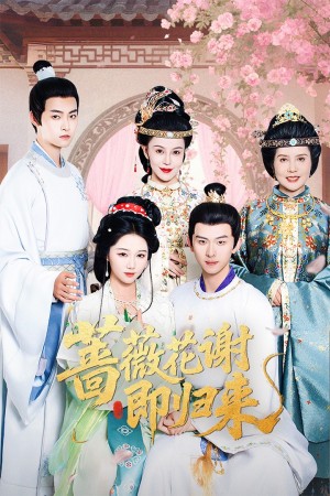 蔷薇花谢即归来（61集）