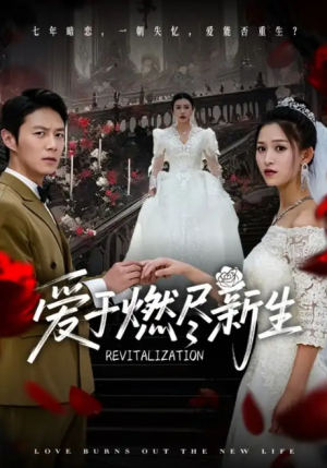 爱于燃尽新生(49集)