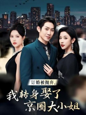 订婚被抛弃我转身娶了京圈大小姐（62集）