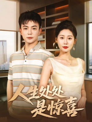 人生处处是惊喜（60集）