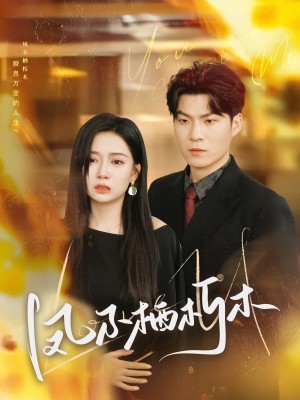 凤不栖朽木（80集）