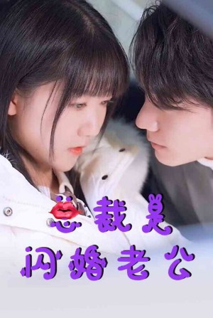 《总裁是闪婚老公》(21集)