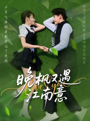 晚枫又遇江南意（60集）